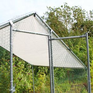4x3x2m Chicken Run Kennel
