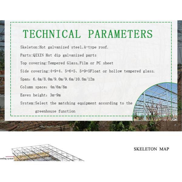 Good Light Permeability Essential for Venlo Glass Greenhouse in Agricultural Industry