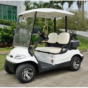 High Safe Mini Electric Vehicle Golf Cart With CE Certificate