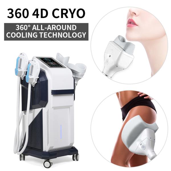 Fat Removal Cryolipolysis Fat Freeze Slimming Machine EMS Cryo Body Sculpting