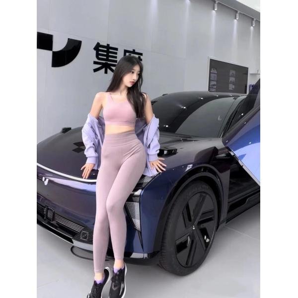 Long Crusing Range 600km Pure Electric 544 Horsepower Dual Motor Four-wheel Drive 5 Door 5 Seats SUV Car Pixel-J ROBO-01