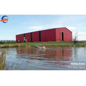 China Aluminum Alloy Window Steel Structures for Prefab Poultry Farm Chicken Horse Stall on sale