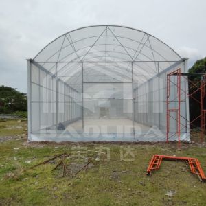 China High Tunnel Greenhouse With Durable Steel Structure For Farming on sale