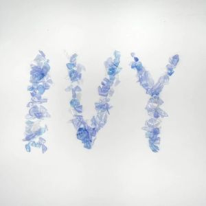 Blue Color PET Bottle Flakes Recycled 3A Grade For Bottle Making