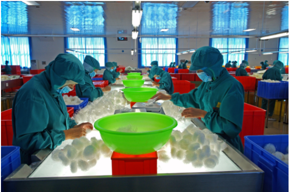 Delicious and Nutritious Japanese Pickled Sushi Seasoned Kanpyo with Normal Ingredients