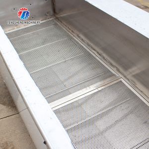 Sludge Stripping Kumquat Fruit Vegetable Washing Machine Water Pump Surfing