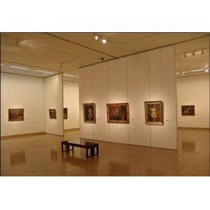 Quality Commercial Furniture Folding Sliding Exhibition Partition Walls Saving Space for sale