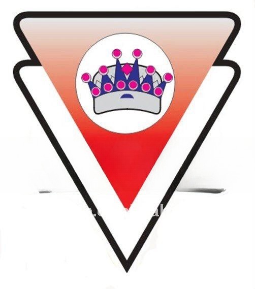 Fat Tire Bicycle 20-24 Chopper Bike Bicycle with 23KGS Aluminum Alloy Rim Material