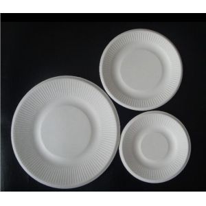 Full Biodegradable Oval Compostable plastic Corn Starch plates,Eco- Friendly