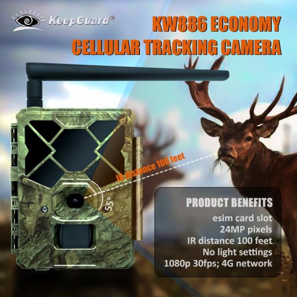 Buy KW886 trail hunting forest wildlife camera with APP control 4G sim card 24MP 1080P at 30fps waterproof IP67 night vision at wholesale prices