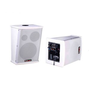 Quality Professional Teaching Sound System With Built - In Wireless Microphone for sale
