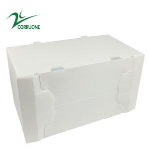 Sweet Corn Fruit Corrugated Boxes Banana Correx Packaging Boxes