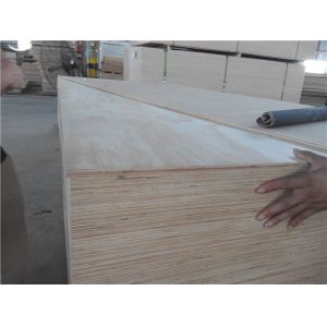 China WB Phenolic Bintangor Plywood on sale