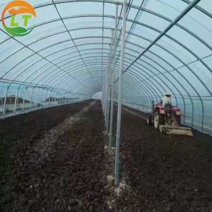 High Output Attractive Single Span Greenhouse With Stable Structure