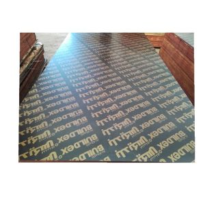 Construction Two Times Hot Press 4x8 Plastic Film Faced Ply