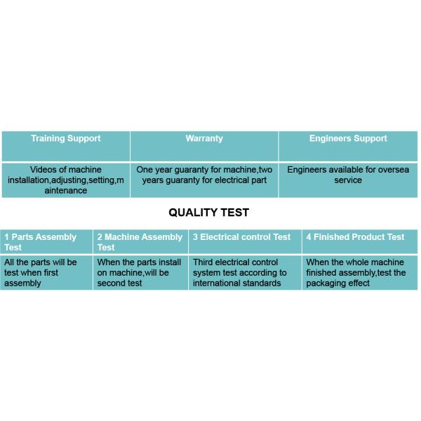 Pillow Bag Frozen Food Packing Machine