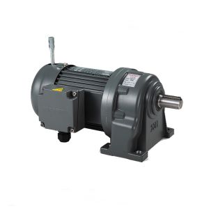 Horizental Installation 750W Speed Reducer Motor With Brake Living Stocks Low