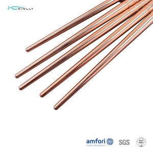 Aluminum Ferrules Poly Bag 10 Piece Makeup Brush Set