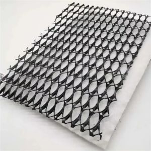 density Polyethylene Plastic Geotextile and Geonet 3D Composite Drainage Net