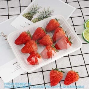 Environmental Protection, Disposable, Microwavable, Refrigerated Food Tray Fruit