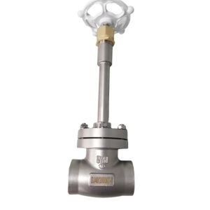 SS304 CF8 DN50 Low Temperature Socket Weld Globe Valve