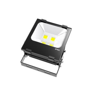 ASA housing Waterproof LED Flood Lights10watt - 200watt CE RoHS