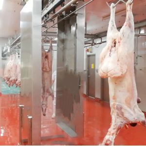 Stainless Steel 304 Slaughterhouse Cow Machine Polyurethane Rubber Hair Plucking