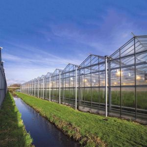 Roof Mounted Greenhouse Solar System For Farmland