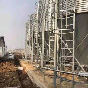China Turn Key Project Swine Farm Complete Equipment For Pigs