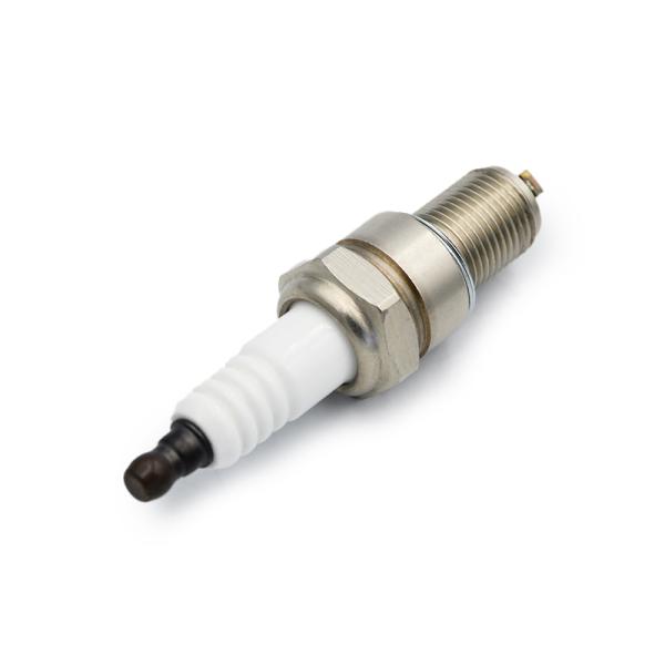 Iridium Spark Plug R8F12-79 For GE3-5 GE3-1 14R-4CIU2 RN79WYW 7315 RN79G