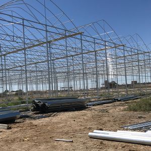 PE Strawberry Insulation Agricultural Greenhouses for Plants Growing and