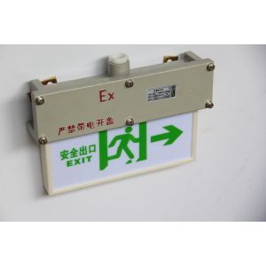 Quality Customised Surface Pattern 3w 220VAC Explosion Proof Exit Light for sale