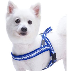 China Stylish Dog Harness Leash 3M Reflective Neoprene Soft Polyester Webbing on sale
