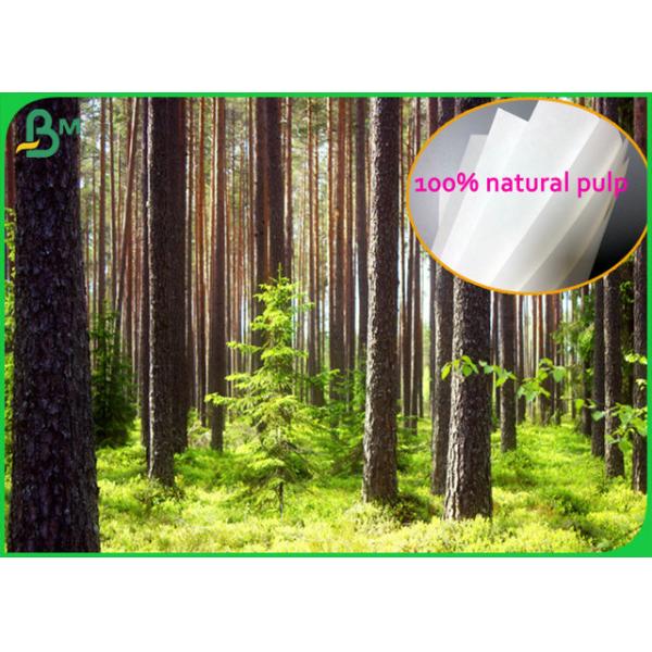 Fully Bio Compostable 70gsm Bleach Paper Roll For Takeaway packaging bags