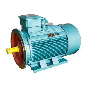 IP55 Single Phase Induction AC Motor 0.37kw - 1000kw Three Phase Electric Motor