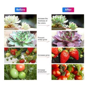 24v Grow Lights for Indoor Plants, Full Spectrum led Grow Light Plant Light for
