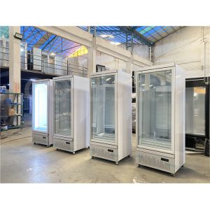 Supermarket Single Door Vertical Refrigerated Display Freezer