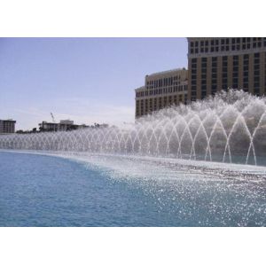 Stainless Steel Bird Swing Fountain Nozzle DMX Control Way