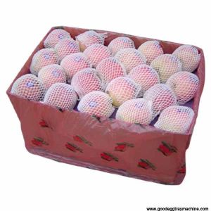 HIGH QUALITY EPE Foam Net/mat extruding making Machine