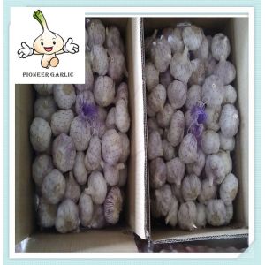 China Cheapest Fresh Garlic Best Quality Jinxiang super garlic
