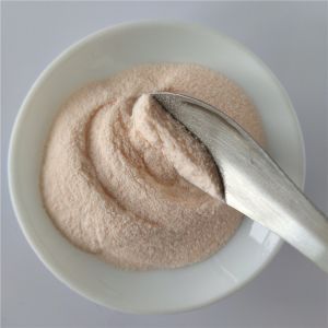 Wholesale Carica Papaya Fruit Juice Powder/Carica Papaya