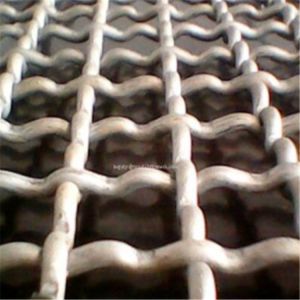 Galvanized Heavy Duty 300um Stainless Steel Crimped Wire Mesh