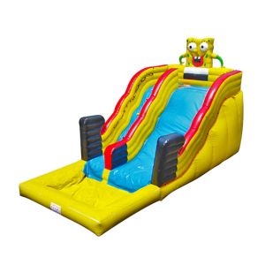 Aldult Outdoor Rental Inflatable Large Water Slides With Bouncy