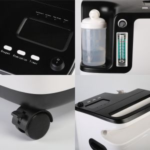 Health Care 5 Liter Oxygen Concentrator 220v 110v With Nebulization