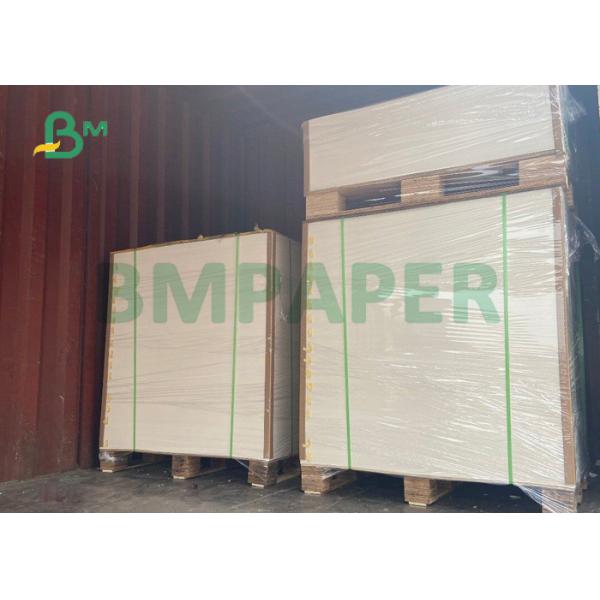 325gsm 350gsm White Top Kraft Back Paper For Food Grade Package 72cm 76cm