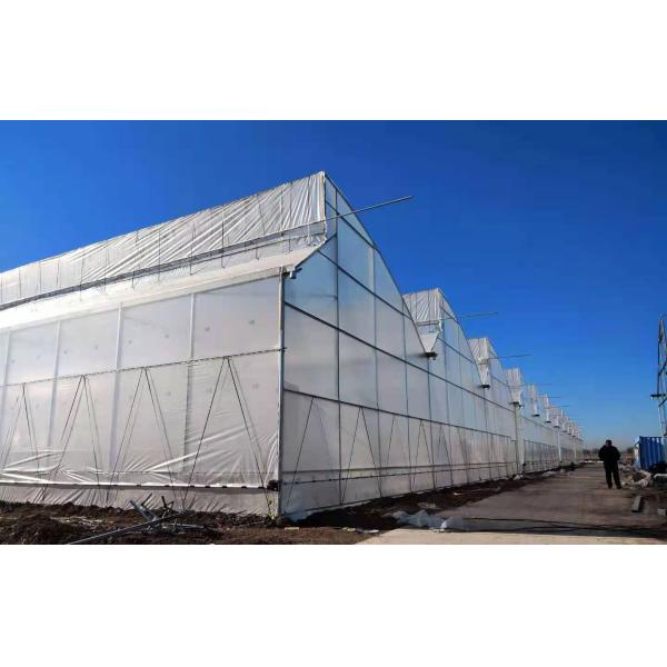 Large Sawtooth Greenhouse Shine Tech Poly Tunnel Tropical Greenhouse With Ventilation