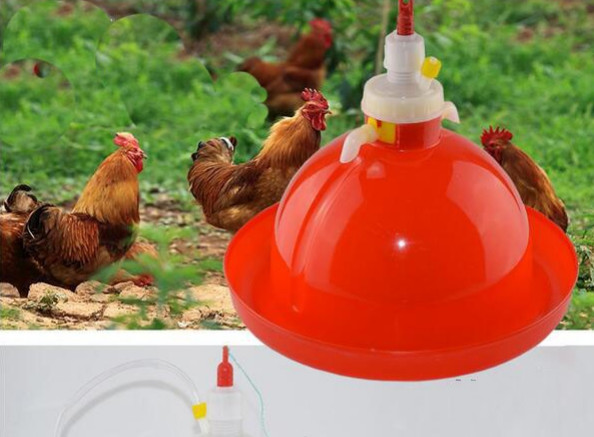 Buy Poultry Drinking Lines System 80pcs Chicken Feeders And Drinkers at wholesale prices