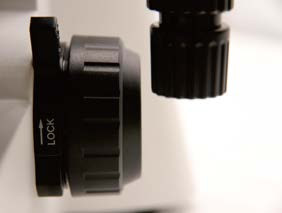 Upright Biological Microscope B70 with Objective Turntable