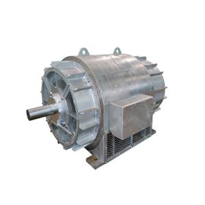Horizontal 2000kw Hydro Power Generator Water Turbine 6300v