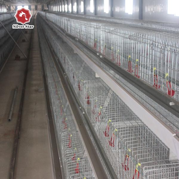 Buy Baby Chick Cage With Full Automatic System For Farm at wholesale prices